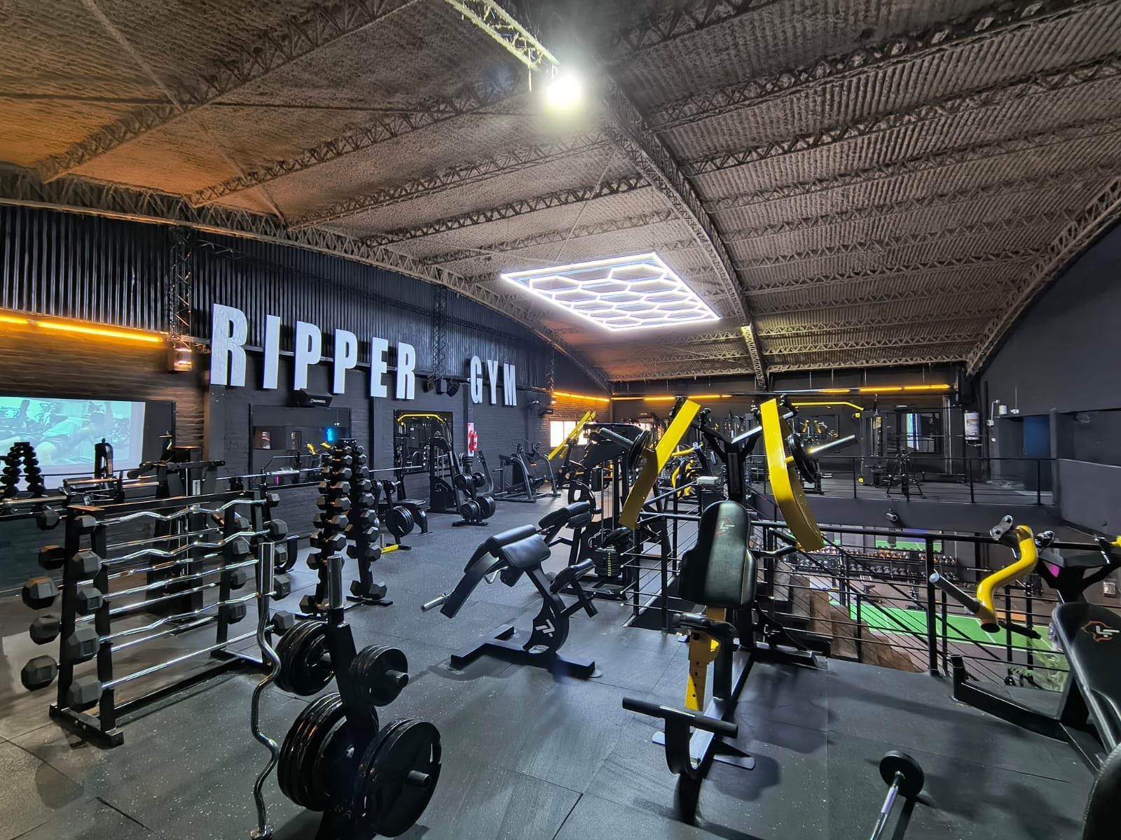 Pared RIPPER GYM