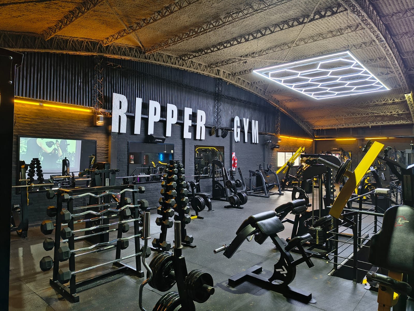 Pared RIPPER GYM